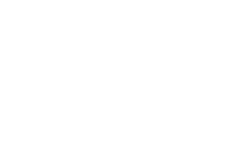 Premium Syndic Ltd